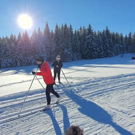 Ada Lejlighed Kudowa-Zdrój