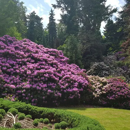 Διαμέρισμα Ada *