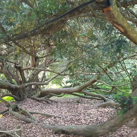 Ada Διαμέρισμα *