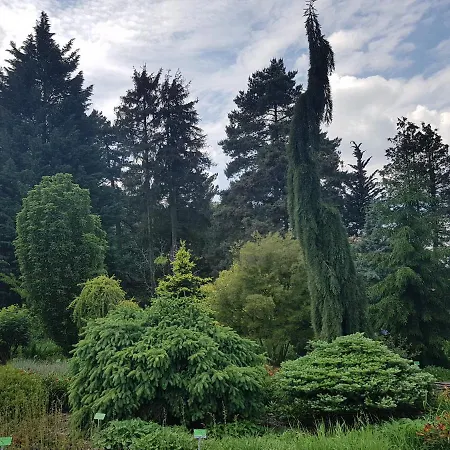 Διαμέρισμα Ada Kudowa-Zdrój