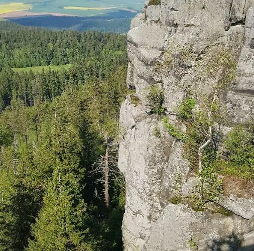 Ada Appartement Kudowa-Zdrój