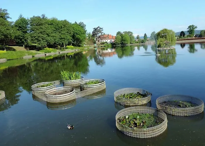 Appartement Ada Kudowa-Zdrój