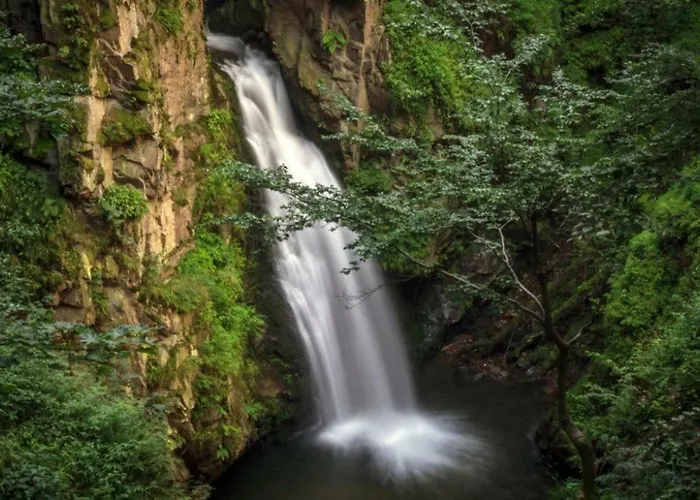 Appartement Ada Kudowa-Zdrój