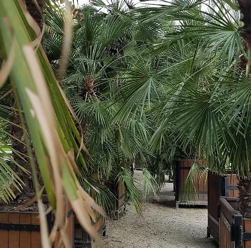 Appartement Ada Kudowa-Zdrój