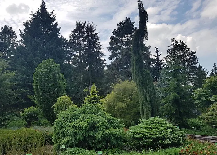 Appartement Ada Kudowa-Zdrój